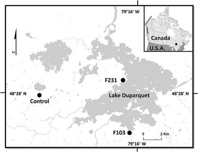 Earlywood Vessels in Black Ash (Fraxinus nigra Marsh.) Trees Show Contrasting Sensitivity to Hydroclimate Variables According to Flood Exposure